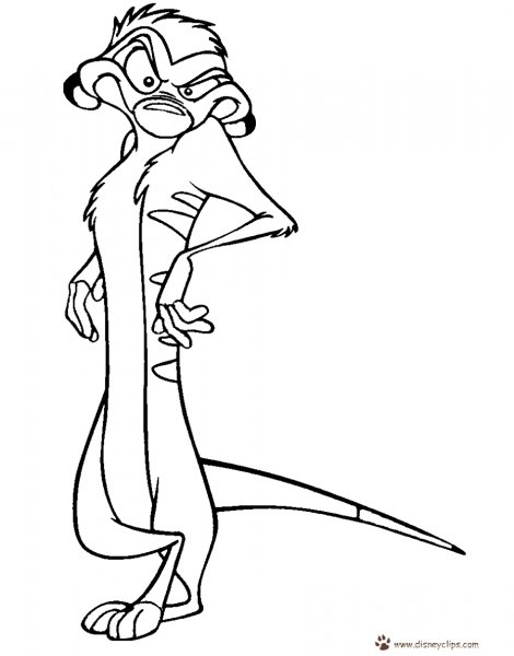 Раскраска Король Тимон и Пумба