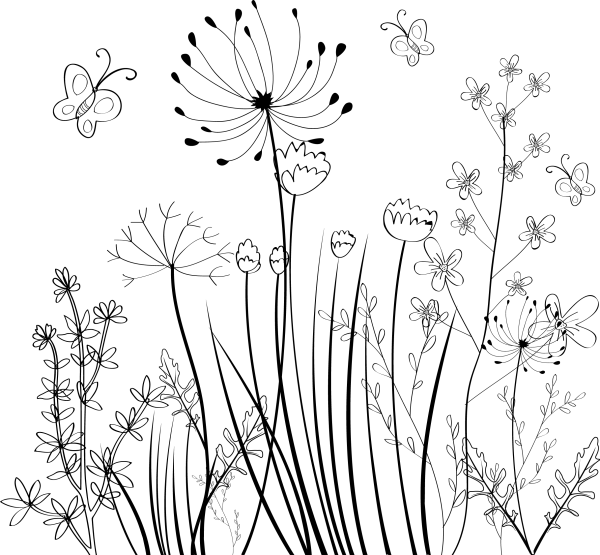 Графические зарисовки трав