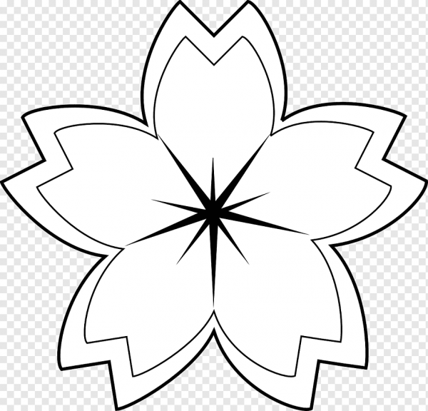 Цветы контур