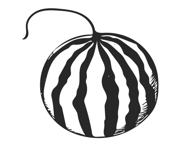 Арбуз вектор