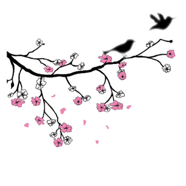 Ветка Сакуры силуэт