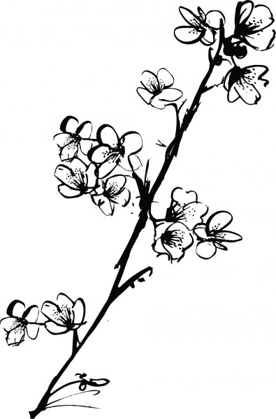 Ветка с цветами