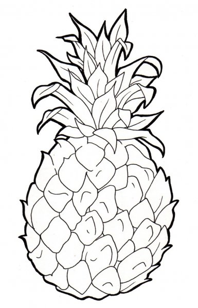 Ананас раскраска