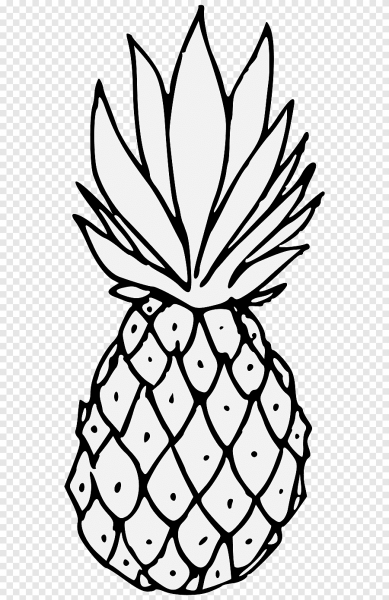 Ананас контур