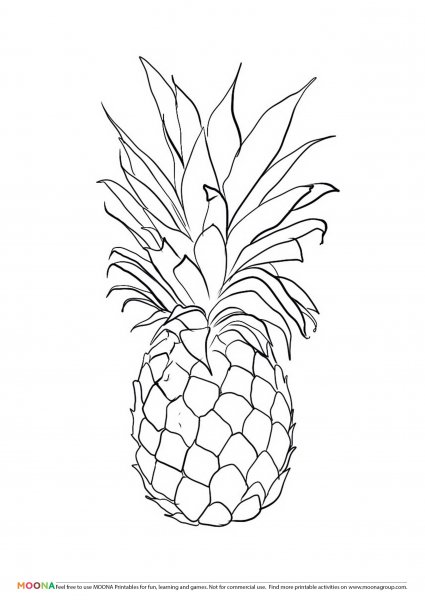 Детские раскраски ананас