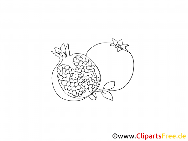 Гранаты фрукты раскраска