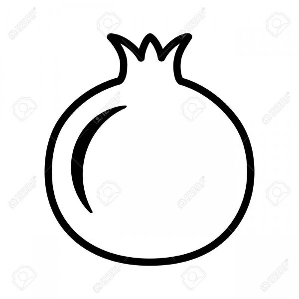 Гранат силуэт