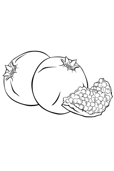 Гранат раскраска для детей