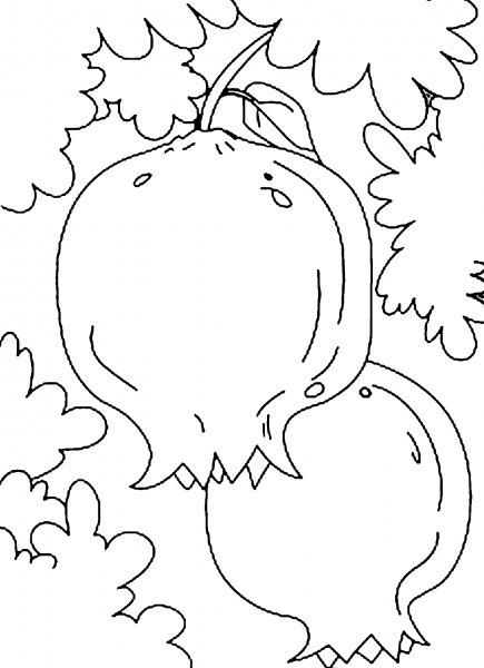 Гранат раскраска