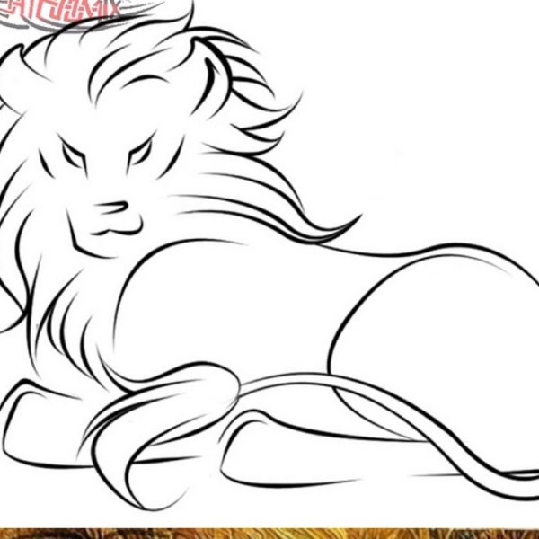 Лев контурный рисунок