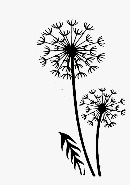 Одуванчики рисунок пошагово