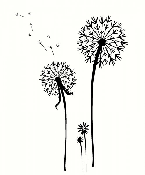 Трафарет одуванчика для рисования