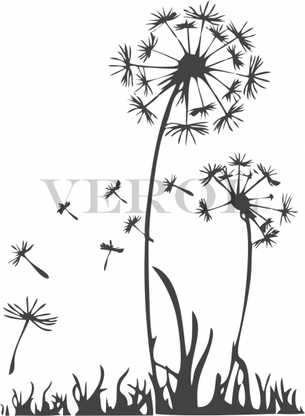 Одуванчик для раскрашивания
