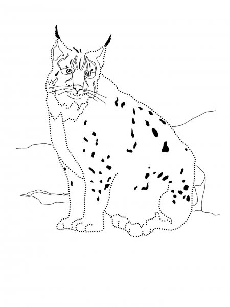 Рысь трафарет