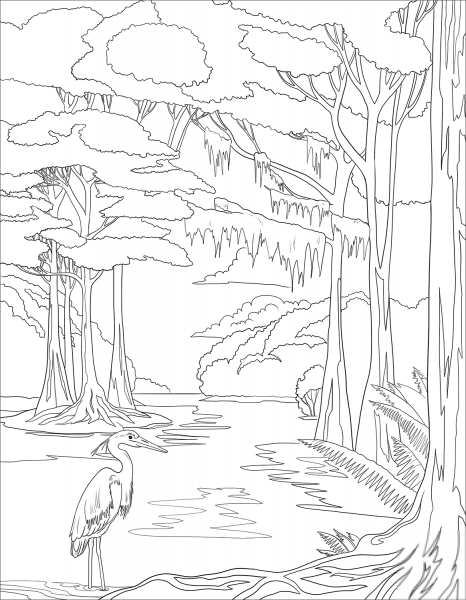 Раскраска Тайга природа