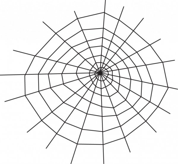 Паутина Графика