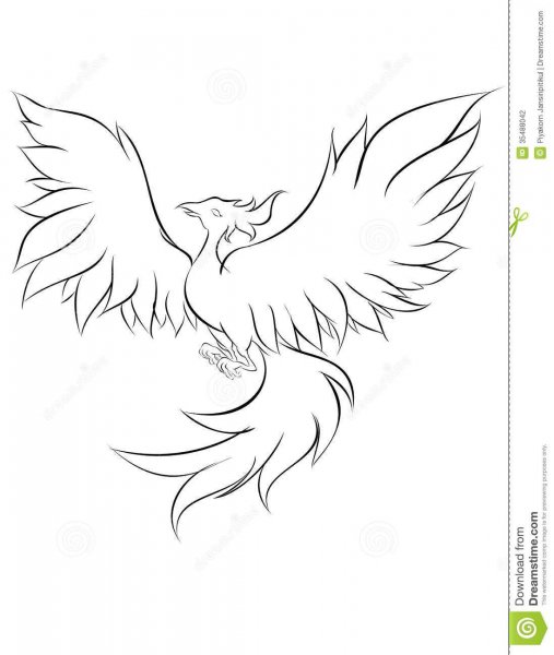 Птица Феникс тату эскизы