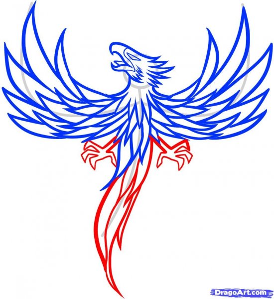 Феникс раскраска легкая