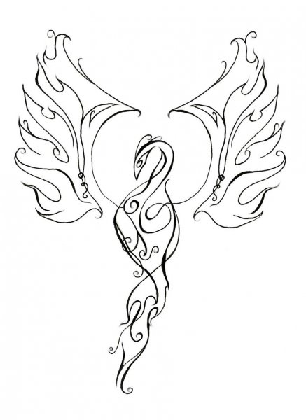 Жар птица раскраска