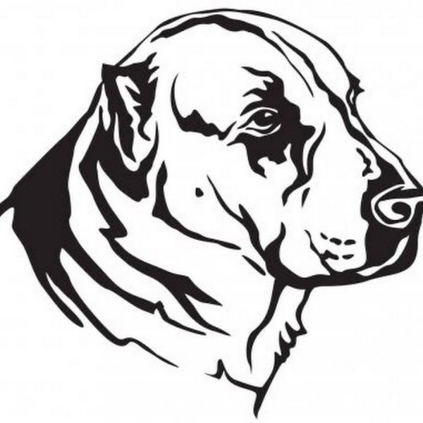 Собака алабай вектор