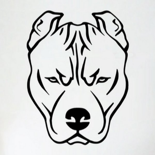 Питбуль карандашом