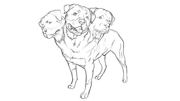 Раскраска ротвейлер