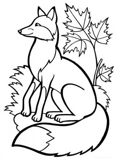 Лиса раскраска для детей