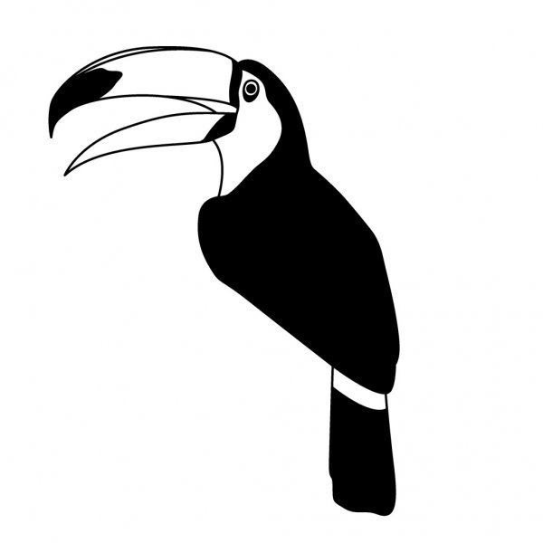 Птицы раскраска для детей