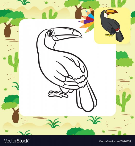 Трафарет для печати Тукан