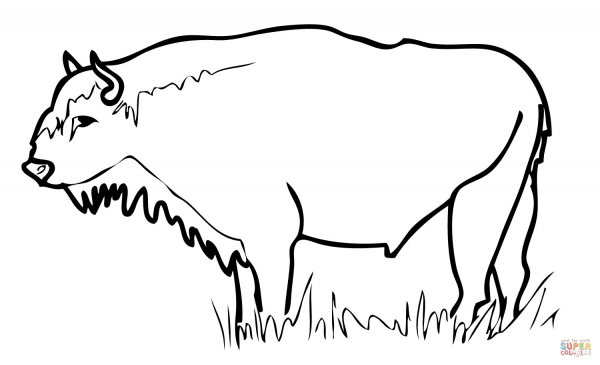 ЗУБР раскраска для детей