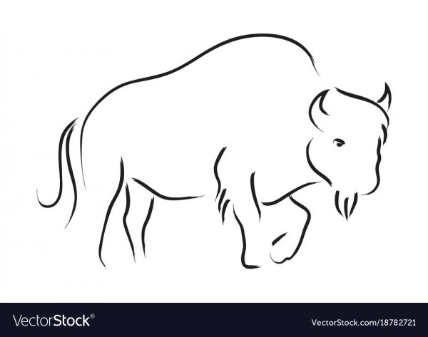 ЗУБР очертания