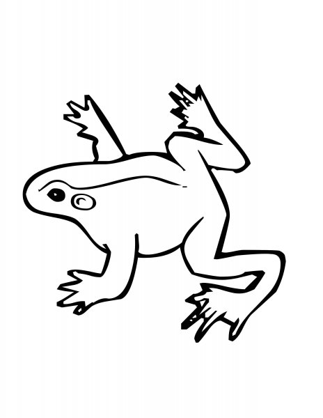 Трафарет лягушки