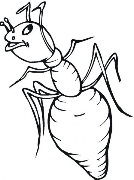 Муравей раскраска для детей 4-5 лет