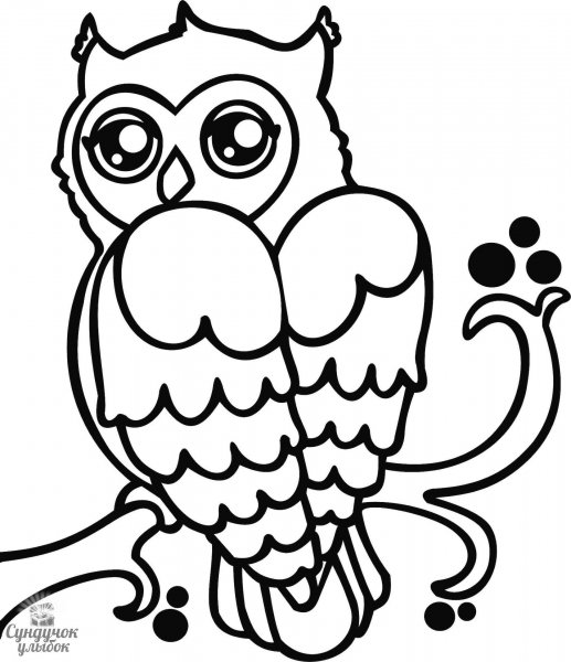 Апельсин контур