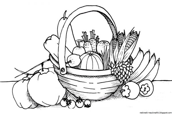 Натюрморт раскраска