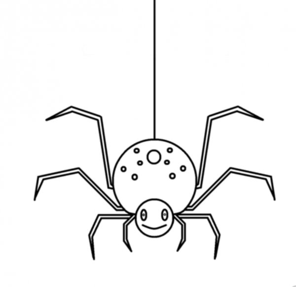 Паук раскраска для детей