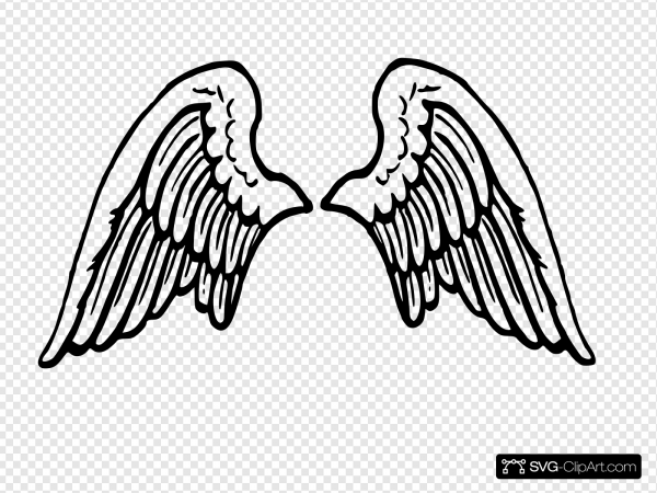 Крылышки рисунок без фона
