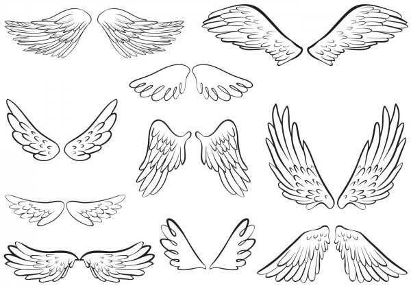 Крылья очертания