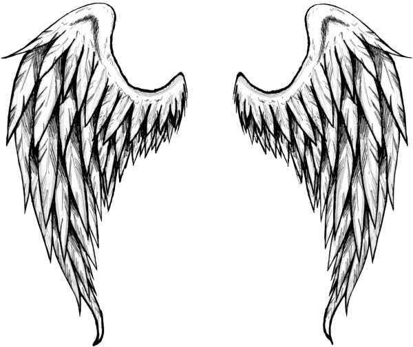 Крылья ангела и демона