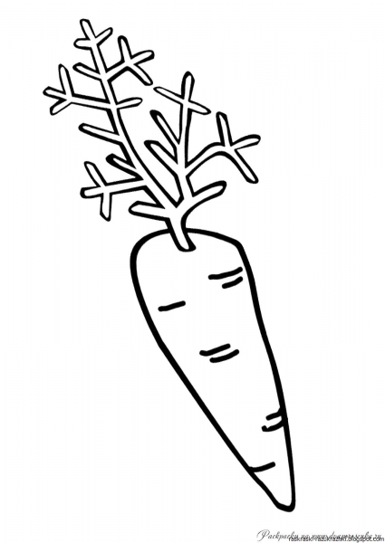Шаблон морковки для вырезания