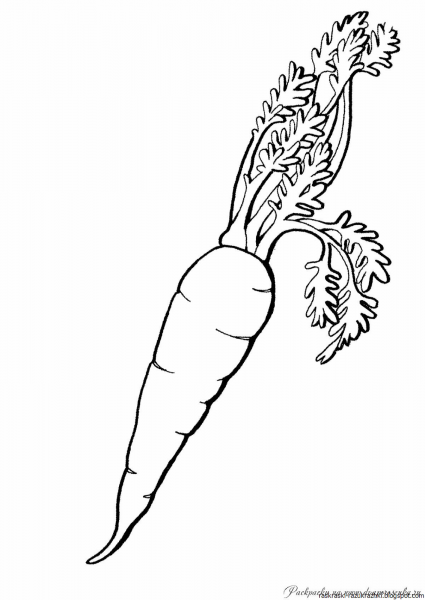 Морковь трафарет