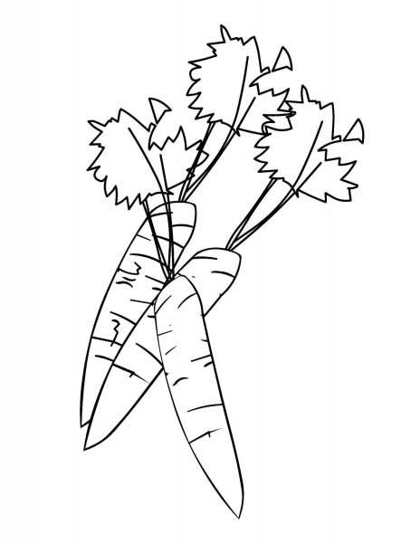 Контур морковки для раскрашивания