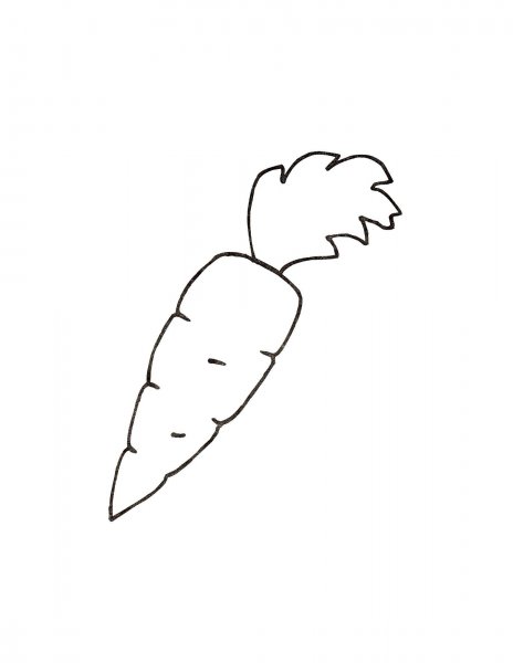 Морковь для раскрашивания для детей