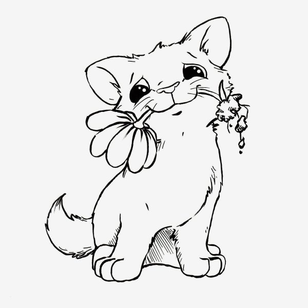 Раскраска котик с цветами