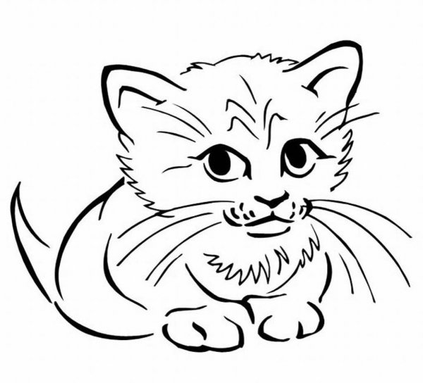 Кот раскраска для детей
