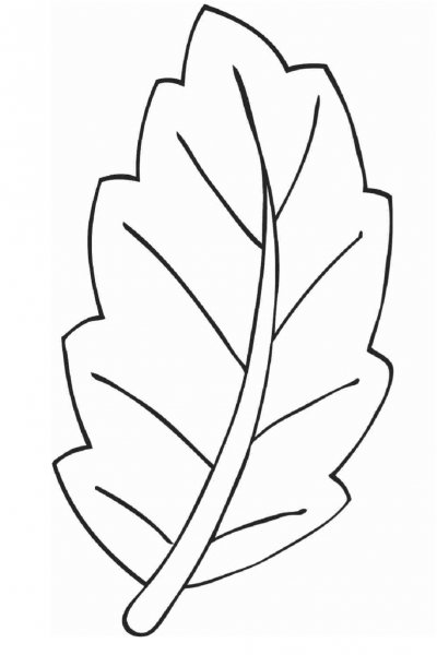 Листья трафарет