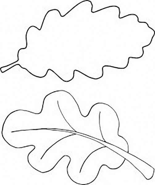 Контур листа дерева