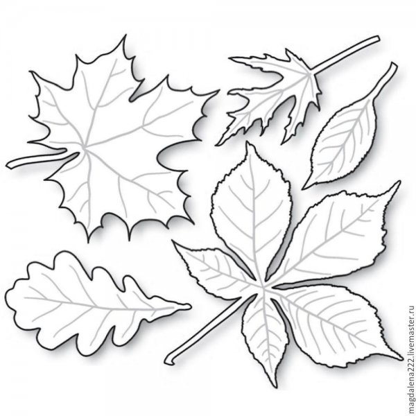 Трафареты осенних листьев