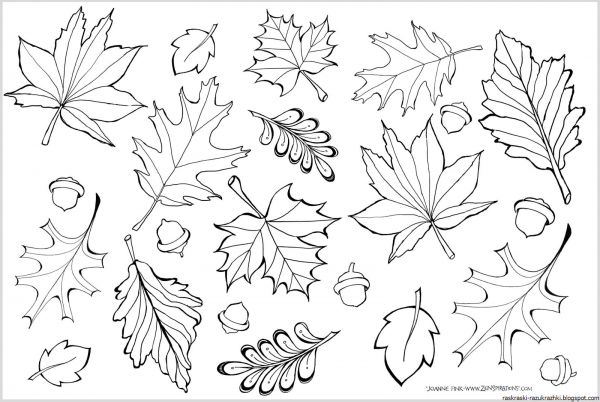 Листья раскраска