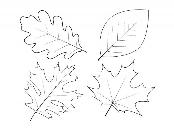 Листья раскраска